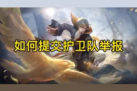 关于如何提交护卫队举报#王者 #鹰眼护卫队