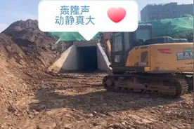 挖机小江：小伙听下水道里有声音，赤脚进去一探究竟，原来是它视频封面