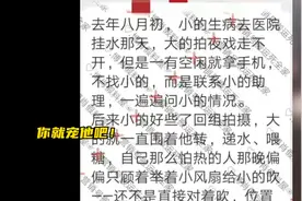 你就宠他吧！视频封面