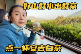 钱贝家乡浙江安吉，生态环境真的太好啦，难怪安吉白茶这么受欢迎视频封面