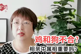 属鸡的不能和属狗的结婚？相亲中属相到底重不重要？视频封面
