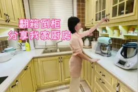 分享我家U型厨房 我为啥要把垃圾桶藏在水槽下方？厨具收纳视频封面
