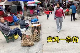 广西农村赶集，这个集基本都是毛南族人，还有个卖鸡一条街视频封面