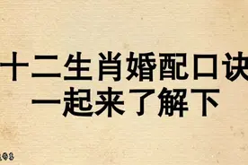 12生肖婚配口诀，一起来了解下吧！视频封面