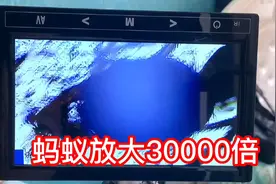 网购买的显微镜把蚂蚁放大30000倍，能看到蚂蚁拉屎尿尿吗？