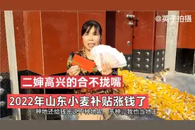 2022年山东小麦补贴涨钱了，看看今年涨了多少钱？农民真高兴视频封面