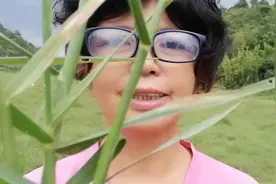 田基姜到处都有，它有清肺解毒，去瘀止痛，认识吗？去看看吧！
