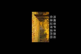 读地藏经正确仪轨