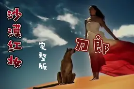 喜欢刀郎沧桑的音质@刀郎@沙漠红妆视频封面