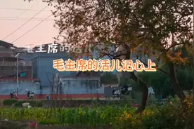 回顾60、70年代红歌《毛主席的话儿记心上》经典、回忆。视频封面