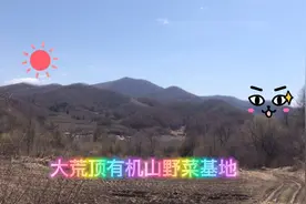 辽宁省刺嫩芽基地视频封面