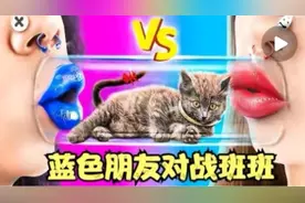 益智小剧场：猫咪闯关大作战，班班的小猫会获得冠军吗？视频封面