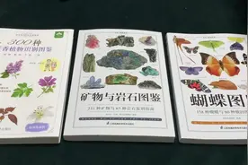 塔罗占卜｜近期别人背后偷偷议论你的！timeless·善结善缘视频封面