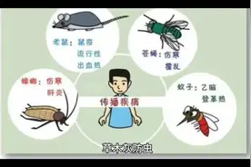 青菜长虫千万别再用农药，只需撒上一把“它”，一次就搞定，快看视频封面