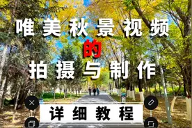 零基础学剪辑！唯美秋景视频的拍摄与制作【详细教程】