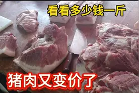 猪肉又变价了！10月21号看看多少钱一斤，你觉得贵还是便宜？