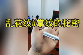 乱花纹#掌纹的秘密