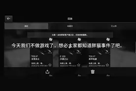 为胖猫发声视频封面