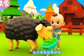 给黑绵羊剪羊毛视频封面