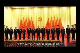 市委办公厅2025年公开选调公务员公告🏛️📈视频封面