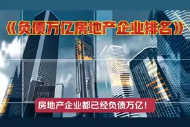 分红自家的债务公司的风险社会的！还在美申请破产保护逼国家托底视频封面