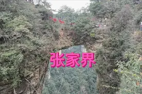 张家界世界自然遗产，中国第一个国家森林公园，自然风光称奇。视频封面