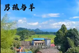 男孩与羊视频封面