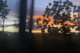 上海第六人民医院陪诊挂号跑腿代办住院15618059876