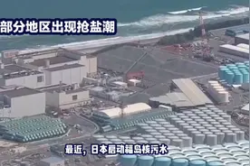 我国盐资源最主要是井盐，占比接近90%视频封面