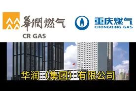 华润（集团）有限公司
国务院国资委管理的中央企业视频封面