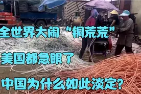 全球大闹“铜荒荒”为啥美国都急眼了，中国却不受影响？视频封面