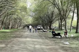 乌鲁木齐的宝子们:距离市区最近的免费露营基地——视频封面