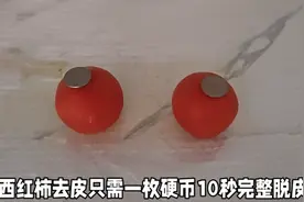 西红柿去皮别再用开水烫了，只用一枚一元硬币，10秒立马完整脱皮视频封面