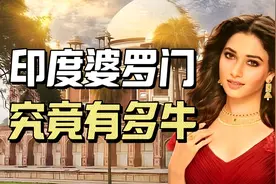 印度最高种姓婆罗门有多牛：天生就是贵族命，享受永久特权视频封面