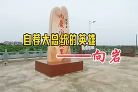二河往事  向岩 从结束帝制到走向共和  民族英雄向岩的传奇人生视频封面