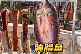 腊月里这样腌腊鱼才好吃，详细做法和配方全告诉你，腊香味浓视频封面