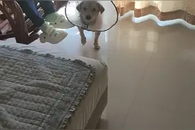 身上痒的难受，嗯嗯的叫视频封面