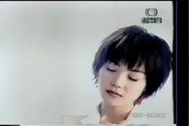 王菲 Faye Wong《你在我心中》曲:井上忠夫 词:王文元视频封面