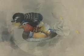 纸嫁衣3流程速通攻略