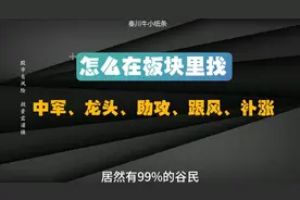 A股：怎么在板块里找中军、龙头、助攻、跟风、补涨