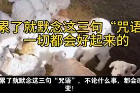 累了默念这三句“咒语”一切会好起来的！视频封面