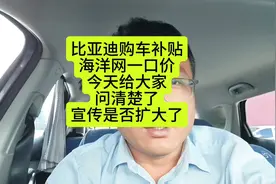 比亚迪购车补贴详情大公开！今天我专门咨询了4S看给的回复是怎样视频封面