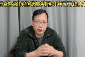 街道办强拆鱼塘被判赔380万无力支付！留下的“乱摊子”谁担责？视频封面