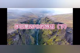 伴侣是NPD的特征（下）