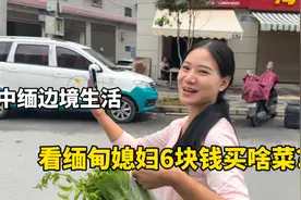 山东小伙和缅甸媳妇的中缅边境生活，看缅甸媳妇花6块钱买的啥菜视频封面