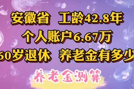 安徽省，工龄42.8年，个人账户6.67万，60岁退休，养老金有多少视频封面