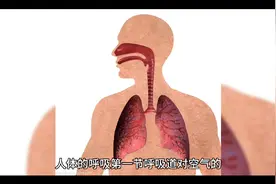 七年级下册生物——呼吸视频封面