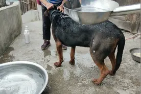 我冢黑哥的洗澡方式#视频封面