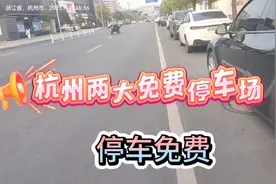 马路乱停车怎么治理视频封面