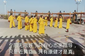 网红打卡景点：人工天鹅湖。老年舞蹈爱好者在此地打卡视频封面